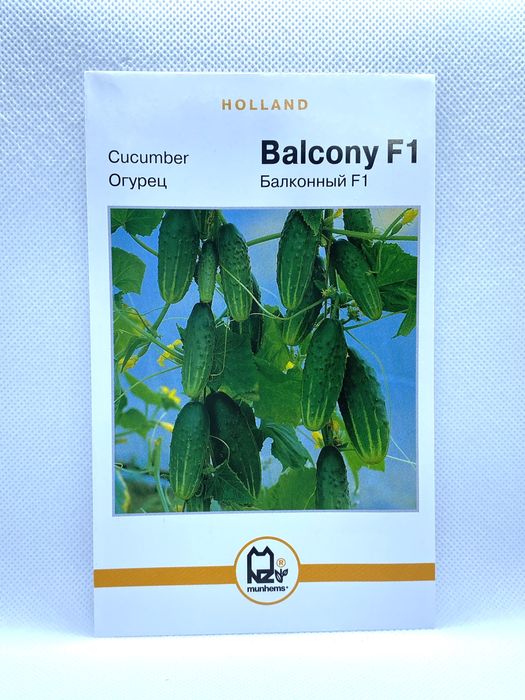 Огірок самозапильний Балконний