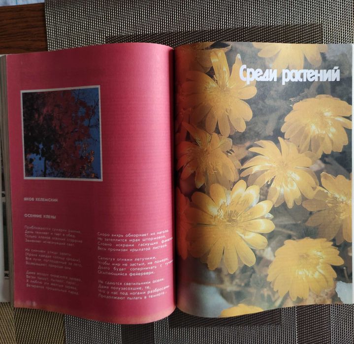 Герцег А. Б.  Охота в иллюстрациях 1984 г. Журнал Лес и человек 1991 г