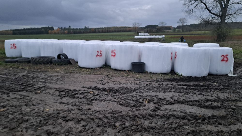 Sianokiszonka z 2025