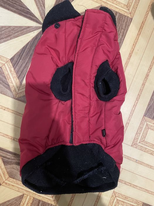 Помпона на собачку