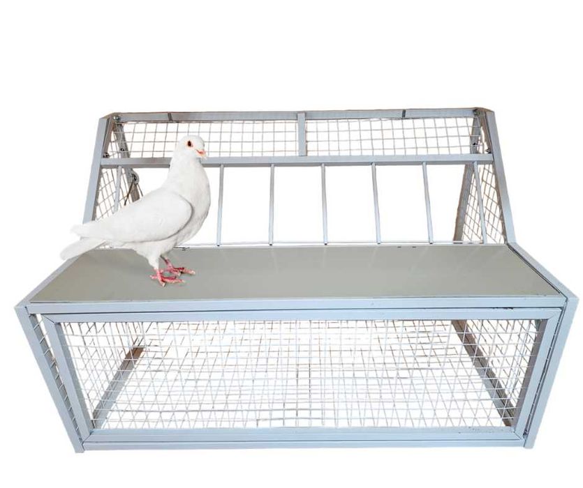 Wlot wylot belgijski dla gołębi ptaków ze stali malowanej 80 cm