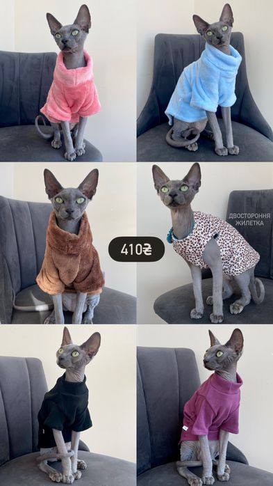 Одяг для кота / котів сфінксів девон-рексів