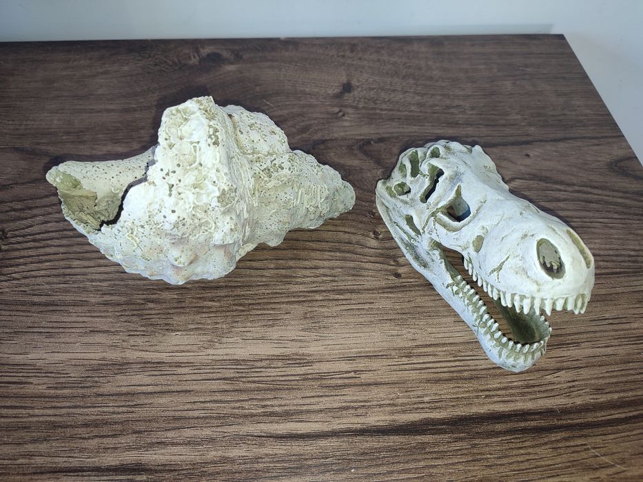 Wyposażenie akwarium, ozdoby