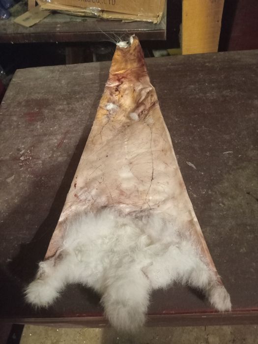 Продам Кролячі шкури