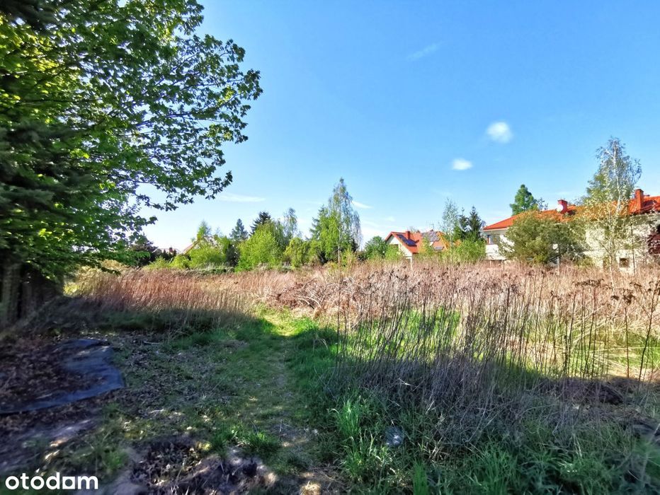 Bezpośrednio - działka na wynajem, Siedliska