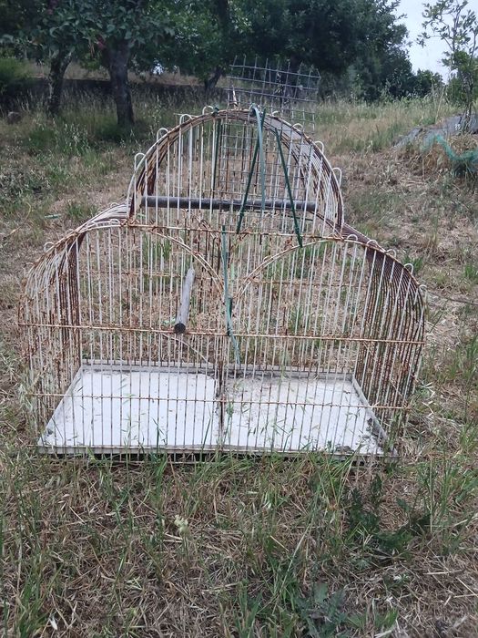 Gaiola para passaros
