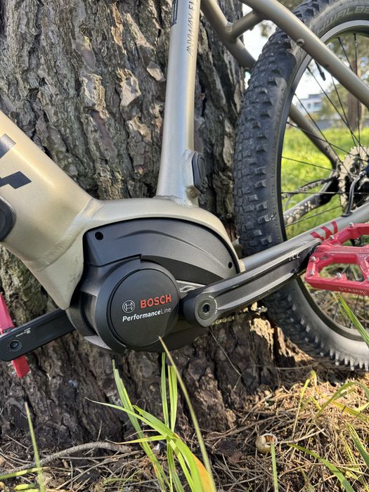 E-Bike Wayscral E450
