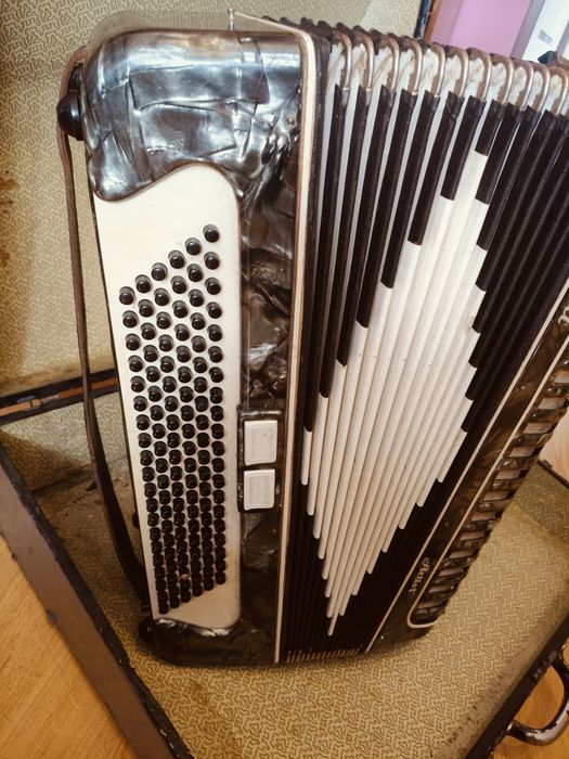 Stary akordeon Toselli Corelli Artist 120 basów