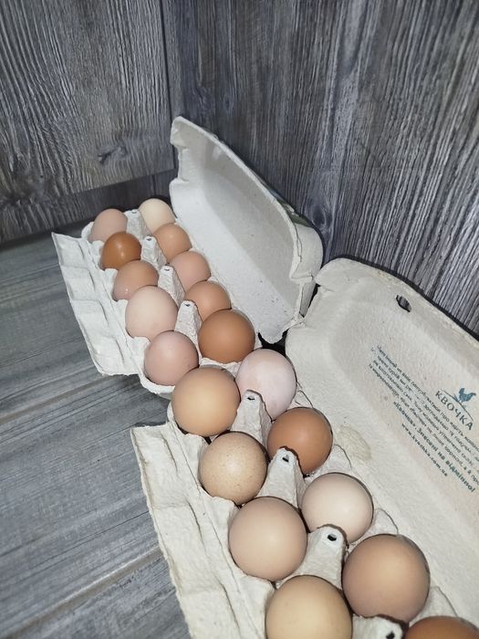 Продам яйца домашние