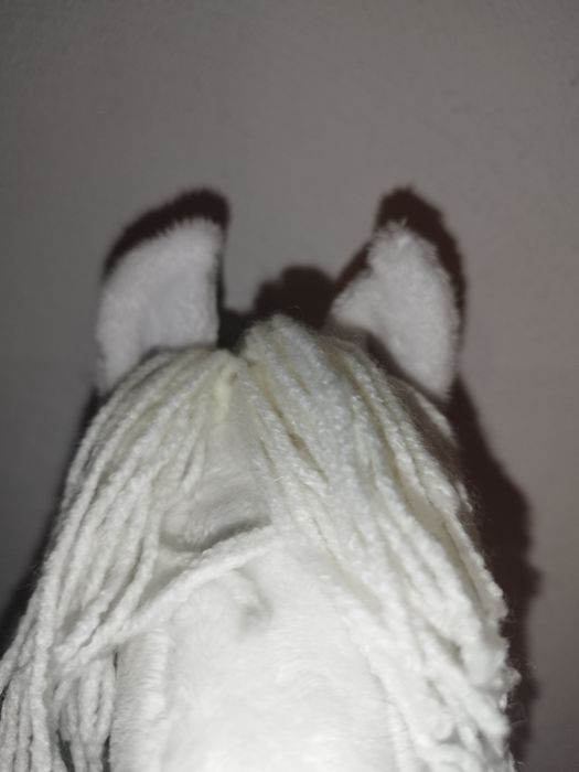Hobby horse sport