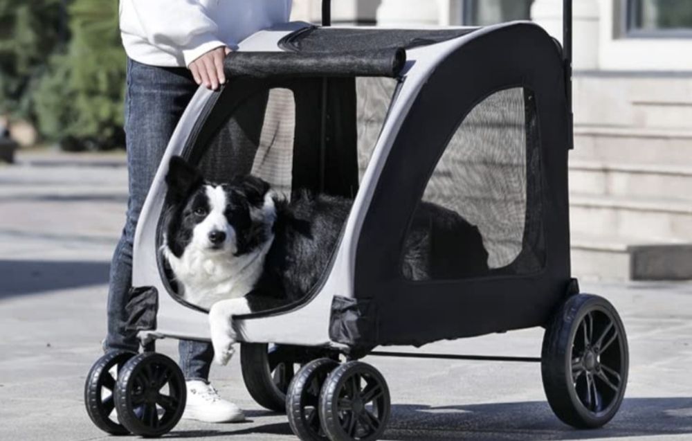 Wózek dla dużego  psa