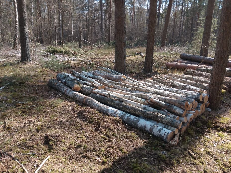 ДРОВА ПРОДАМ  будь які