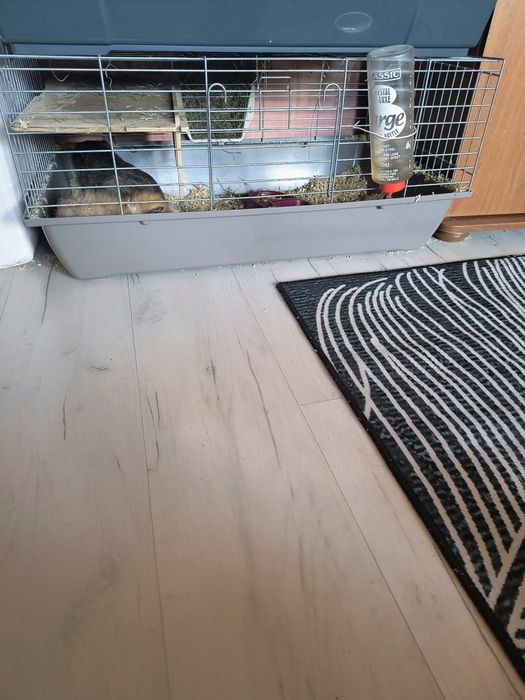 Sprzedam klatkę dla świnki lub królika