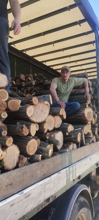 Дрова от 1100 твердых и мягких  пород