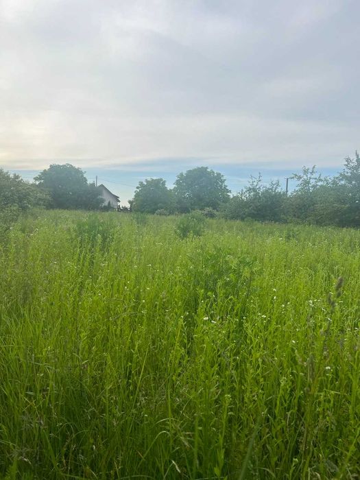 Продаж земельної ділянки під будівництво у с. Мшана, 20км від Львова