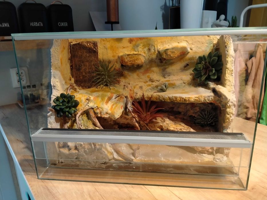 Terrarium dla gekona