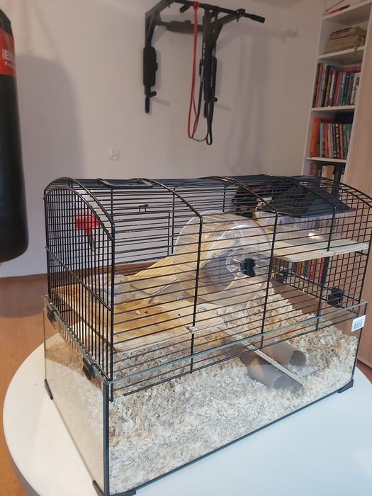 Myszoskoczek z klatką