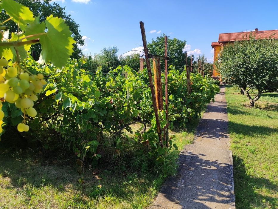 Продам дом недалеко от города, большой участок