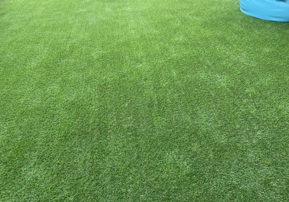 Relva Artificial 20 mm  Para Jardim e Terraço | 7€/m² |