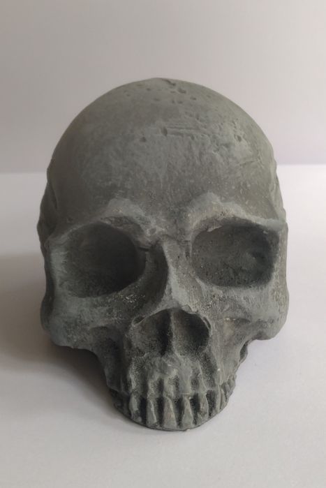 Czaszka do terrarium