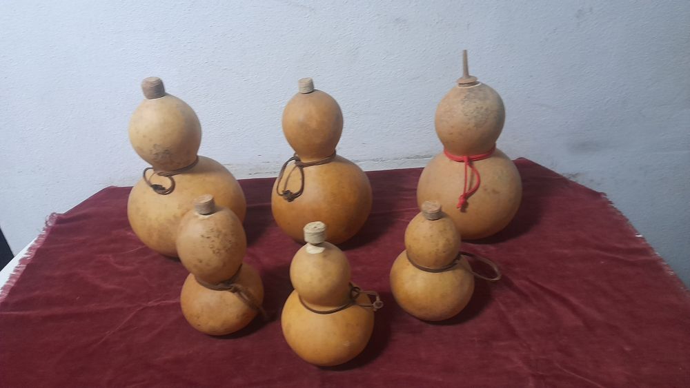 Cabaças  tipo garrafa  para decorar ou até  para levar liquidos.