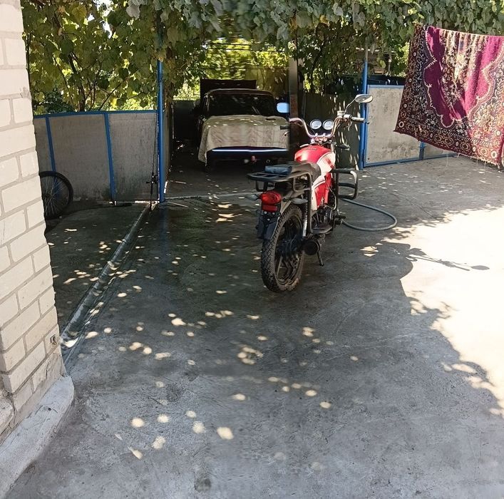 альфа 125. форте. рх