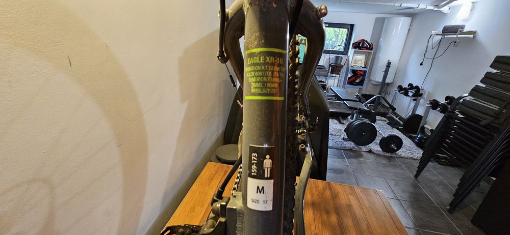 Rower MTB Wheeler Eagle XR10