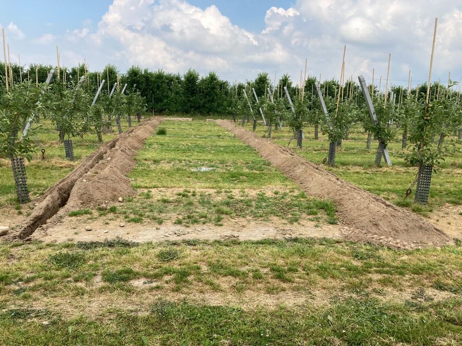 Kompleksowe nawodnienia Wykopy liniowe pod prąd media
