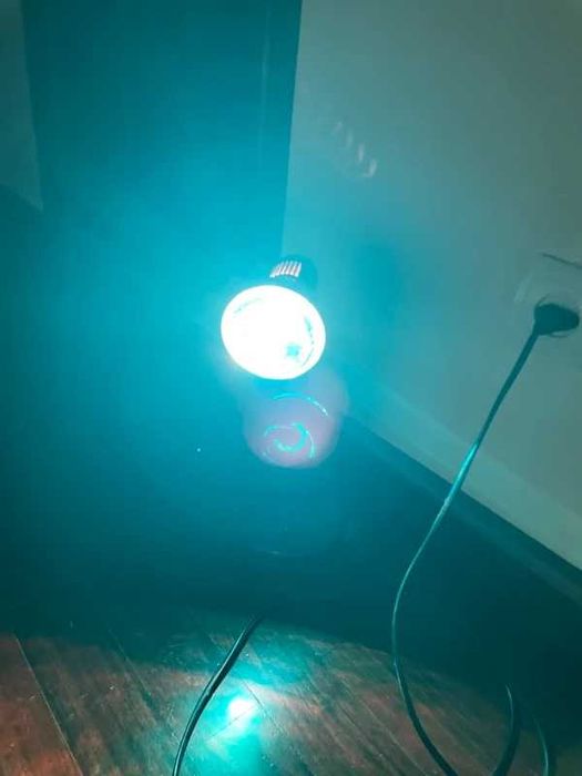 Lâmpadas fluorescentes dos anos 80