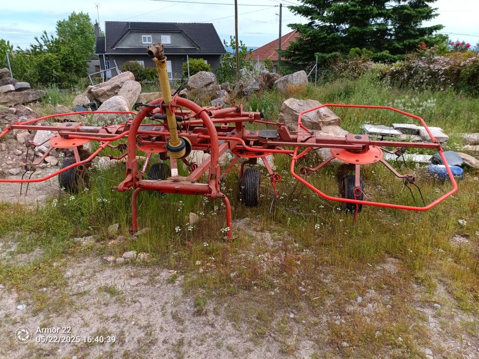 Volta fenos 4 cabeças