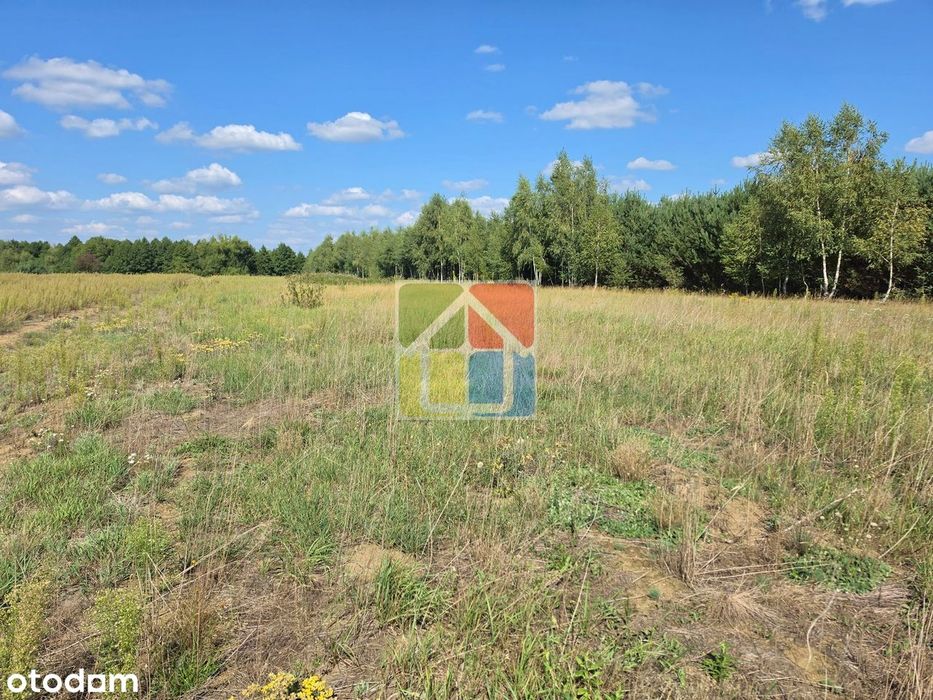 Działka pod zabudowę jednorodzinną lub letniskową 1050 m² - Widok 5