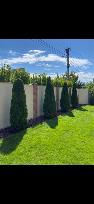 Работы в саду,обрезка деревьев винограроз,стрижка хвойных и их лечение