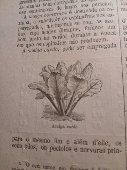 O Agricultor do Norte de Portugal (Volume IV - nº 8), 1881
