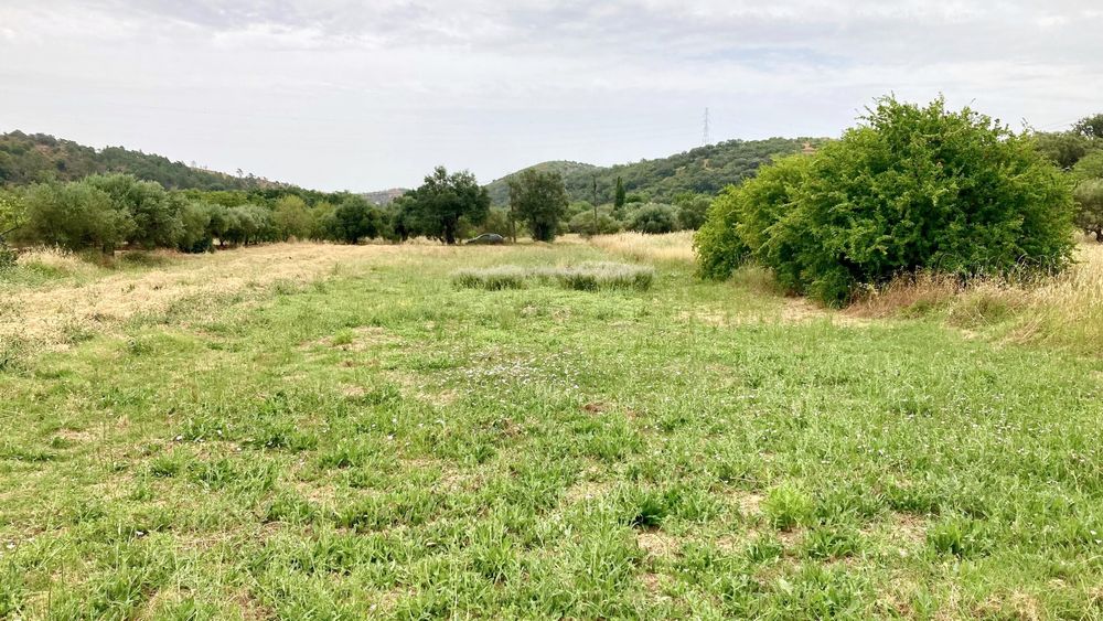 Terreno Rustico São Brás com Agua