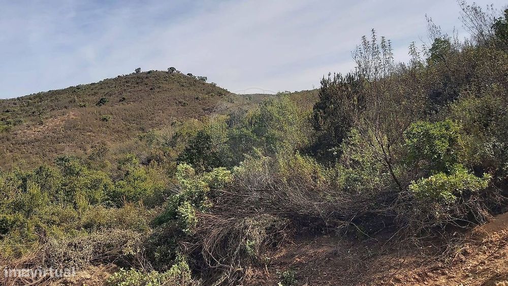 Terreno  para venda