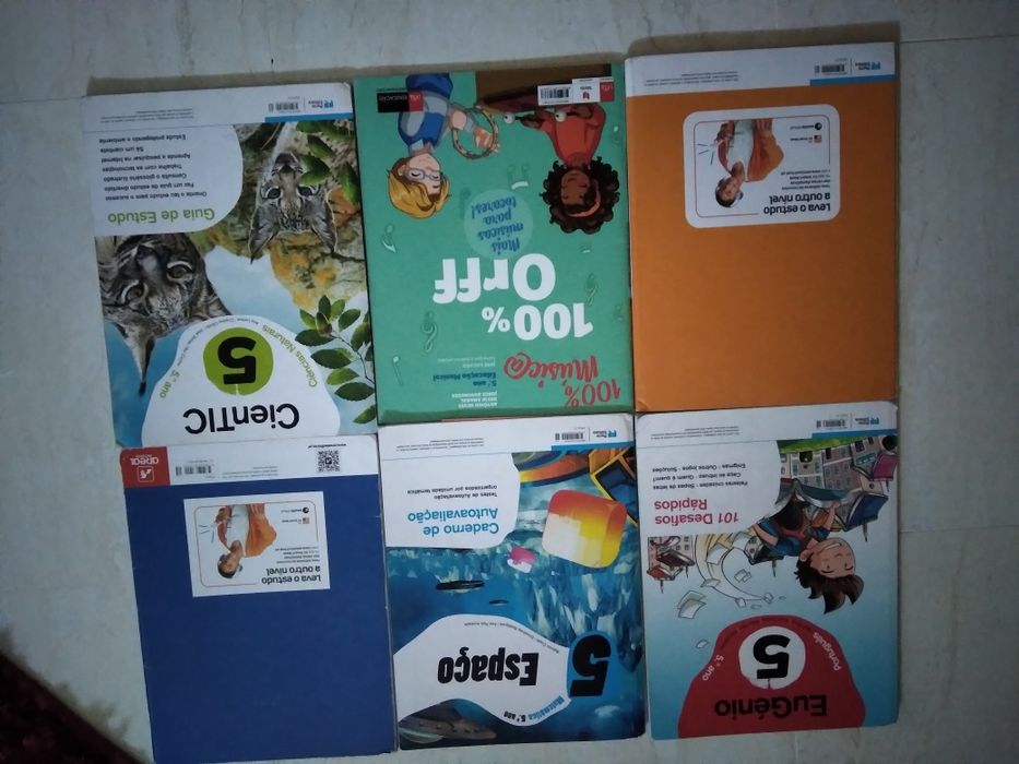 Cadernos de fichas 5 ano