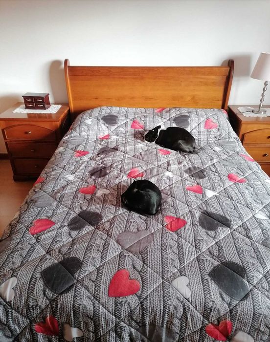 Cama de casal em madeira maciça + 2 mesinhas + estrado