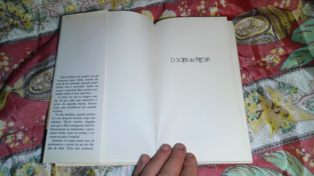 O solar da falésia_Theresa Charles