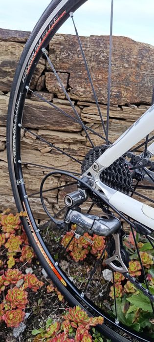Bike Estrada ORBEA Onix