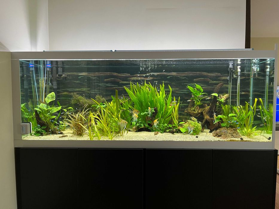 Aquario 540 litros
