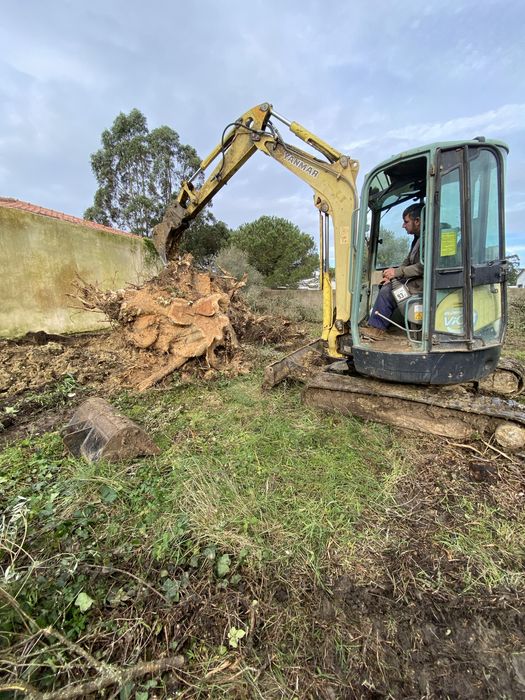 Limpeza de terrenos / corte de arvores etc…