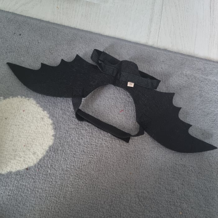 Крила для кішк  або маленької собаки