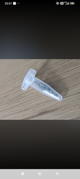 Nasiona dla kolekcjonerów