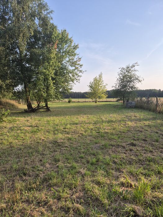 Działka Bednary gm. Pobiedziska