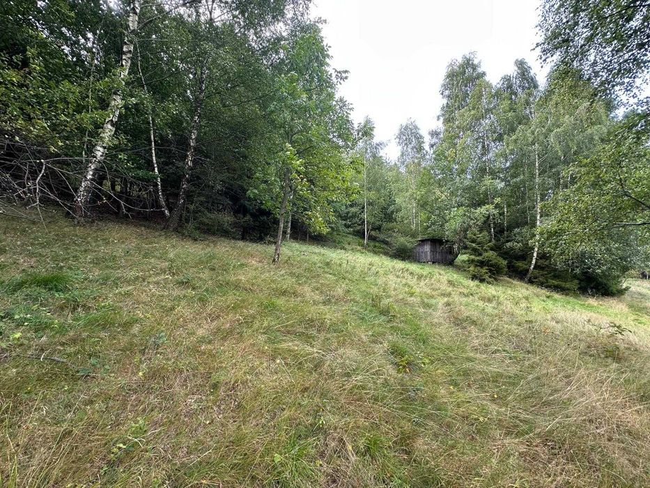 Działka budowlana Straconka ~0,65ha + pakiet/Panorama na Bielsko-Białą. NOWA CENA ( MOŻLIWA ZAMIANA ) - Widok 5
