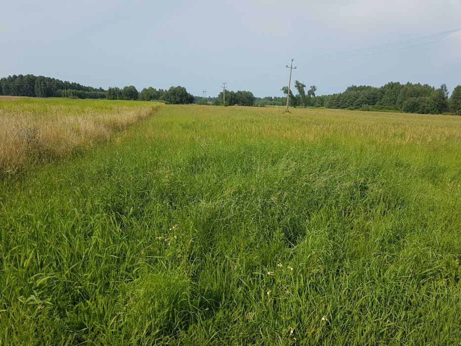 Działka Zaścienie 7062m2