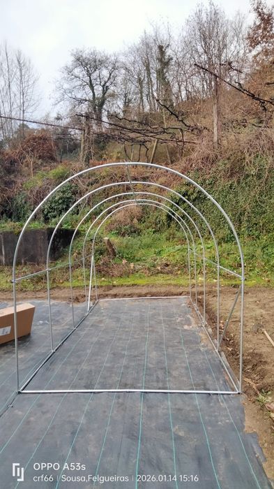 Estufa, hortaliças, plantas