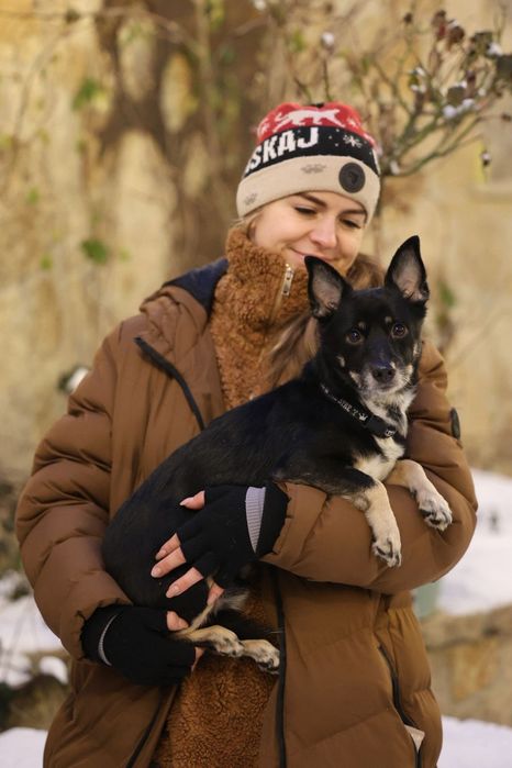 Malutki samiec do adopcji