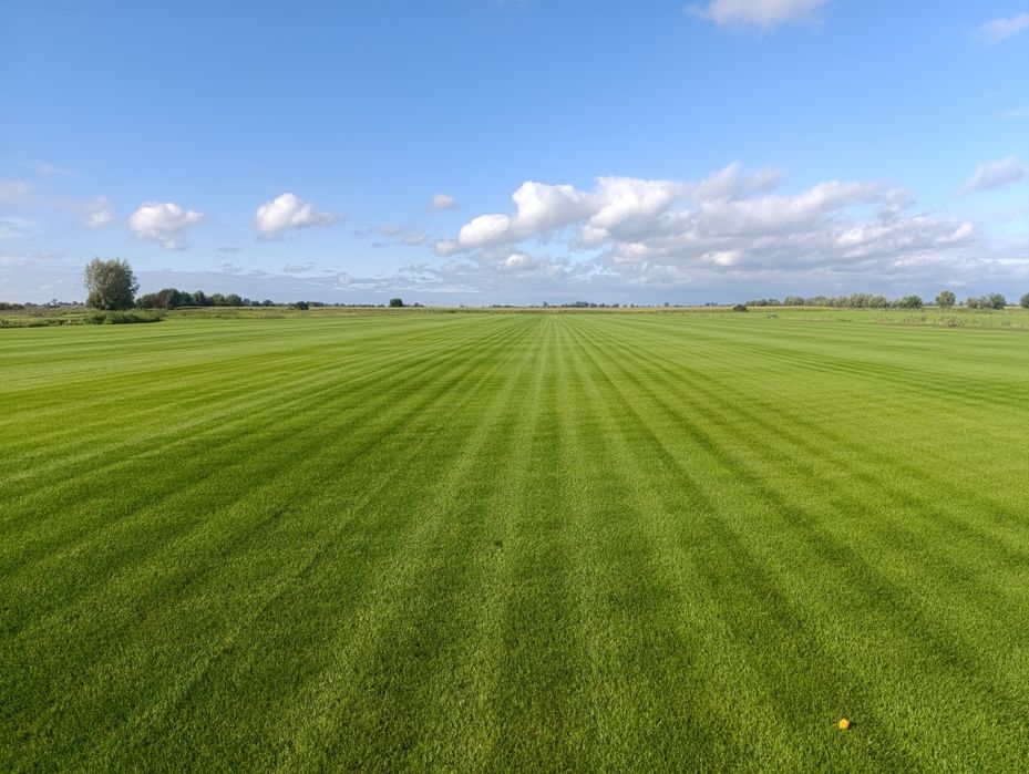 Trawa z rolki - Producent Garden Grass