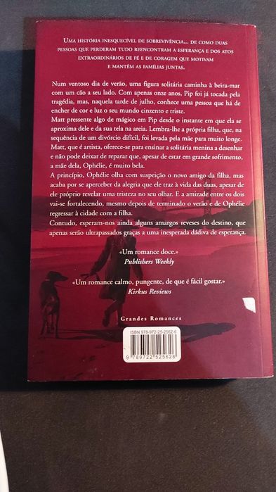 Livro Porto seguro - Danielle Steel